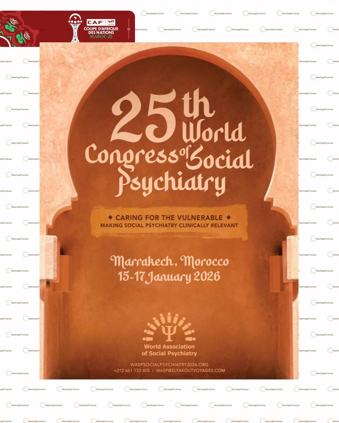 World Association of Social Psychiatry